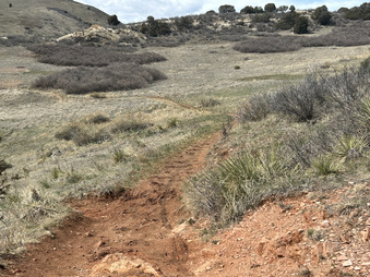 Enlarge photo 55