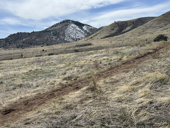 Enlarge photo 72