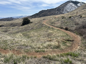 Enlarge photo 79