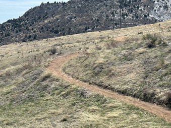 Enlarge photo 80