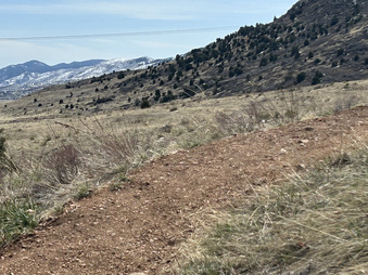 Enlarge photo 81