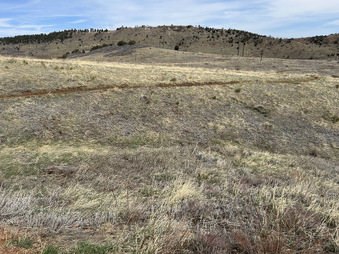 Enlarge photo 83