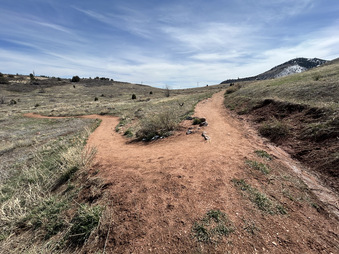 Enlarge photo 71