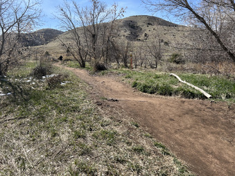 Enlarge photo 55