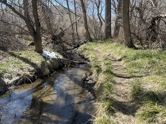 Enlarge photo 41