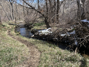 Enlarge photo 40
