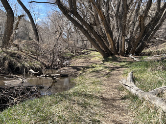 Enlarge photo 37