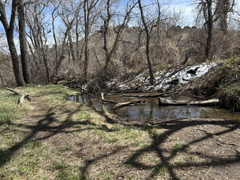 Enlarge photo 35