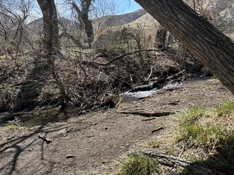 Enlarge photo 34