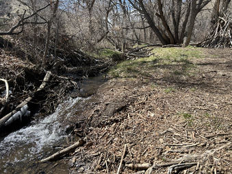 Enlarge photo 33