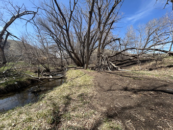 Enlarge photo 32