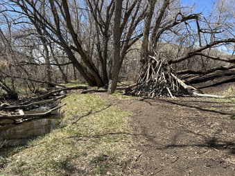 Enlarge photo 31