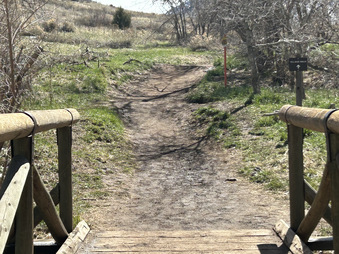 Enlarge photo 25