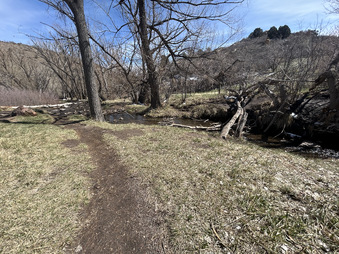 Enlarge photo 24