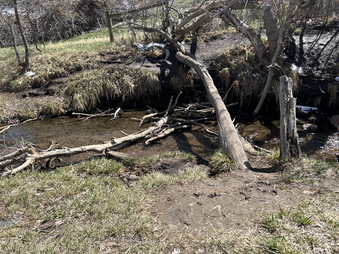 Enlarge photo 23