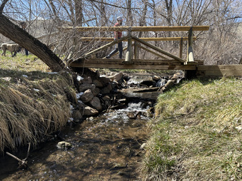 Enlarge photo 22