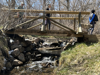 Enlarge photo 21