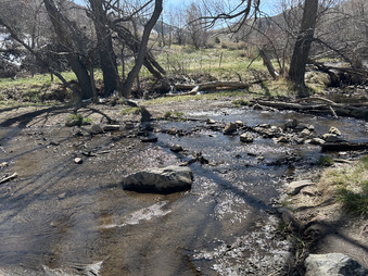 Enlarge photo 16