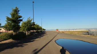 Enlarge photo 30