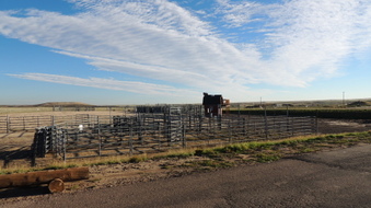 Enlarge photo 31