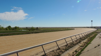 Enlarge photo 36