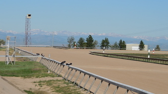 Enlarge photo 38
