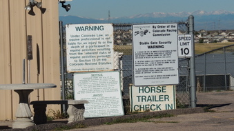 Enlarge photo 62