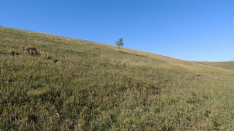 Enlarge photo 83
