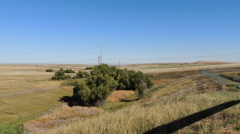 Enlarge photo 90