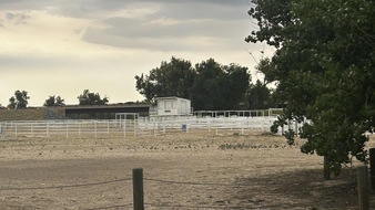 Enlarge photo 6