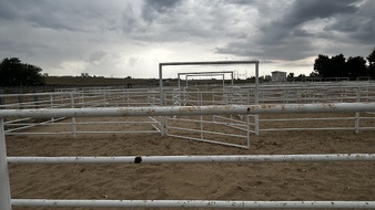 Enlarge photo 11