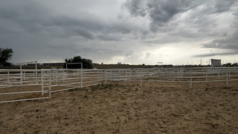 Enlarge photo 15