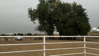 Enlarge photo 21