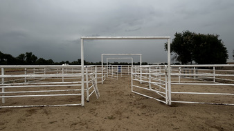 Enlarge photo 23