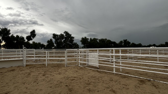 Enlarge photo 24