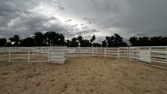 Enlarge photo 26