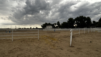 Enlarge photo 31