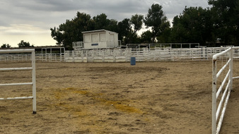 Enlarge photo 32