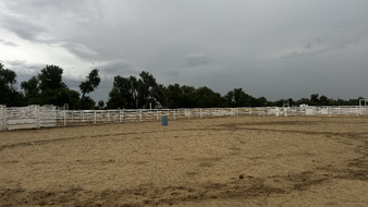 Enlarge photo 37