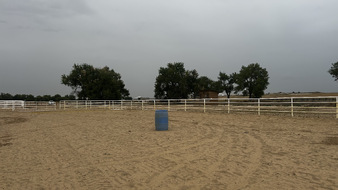 Enlarge photo 39