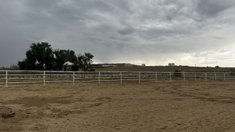 Enlarge photo 41