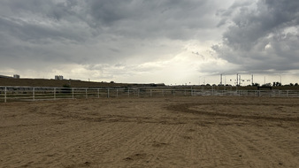 Enlarge photo 42
