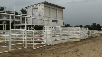 Enlarge photo 45