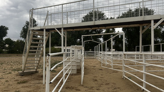 Enlarge photo 53