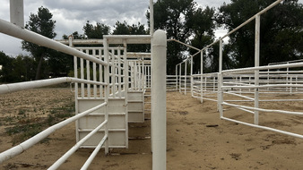 Enlarge photo 54