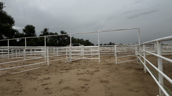 Enlarge photo 57
