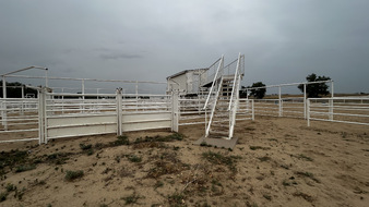Enlarge photo 61