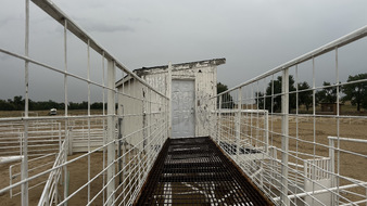 Enlarge photo 63