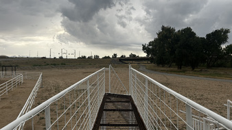 Enlarge photo 65