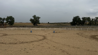 Enlarge photo 67